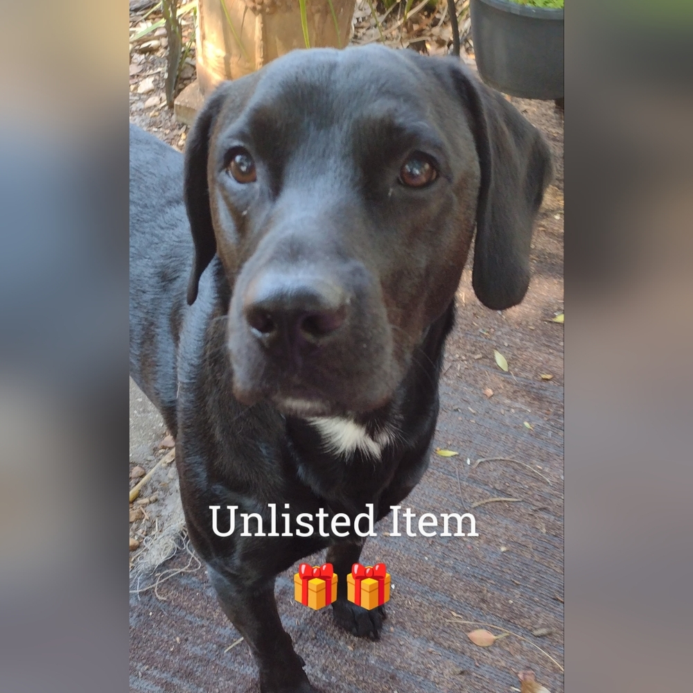 Love Listing For Item In Hand